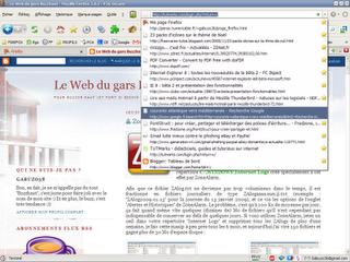 image de l'hisrorique de la barre d'adresses sous Firefox 3