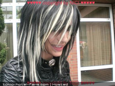 Photo 6955 Photo 6955