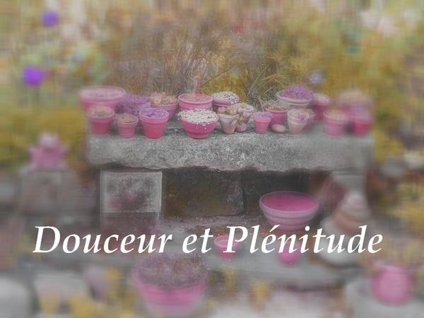 Pour vous cette année Pour vous cette année