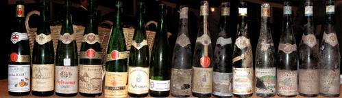 Vieux Sylvaners à la Confrérie Saint-Etienne Vieux Sylvaners à la Confrérie Saint-Etienne