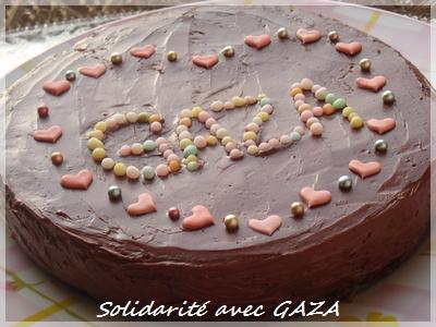 Chaîne de solidarité pour la Palestine (Gaza) Chaîne de solidarité pour la Palestine (Gaza)
