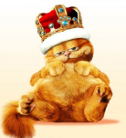 J'aime pas les chats et voilà que... J'aime pas les chats et voilà que...