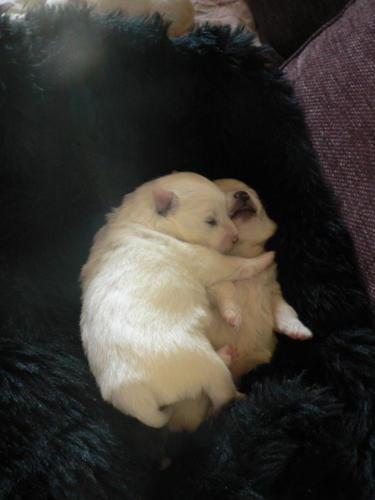 Félicitations à Rachida! Félicitations à Rachida!