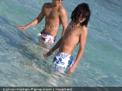 Photo 7017 Photo 7017