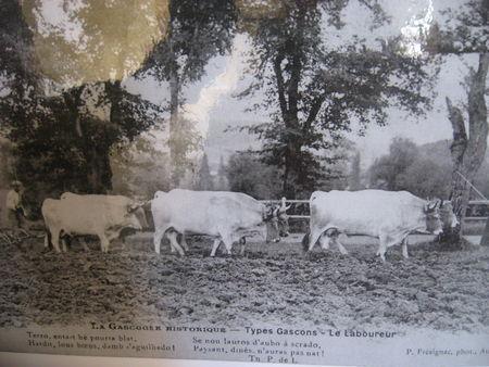 La collégiale de La Romieu (2) : la visite … IMG_6003