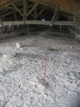 La collégiale de La Romieu (2) : la visite … IMG_6098