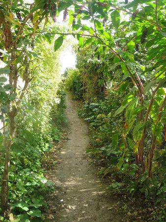 La collégiale de La Romieu (2) : la visite … IMG_6163