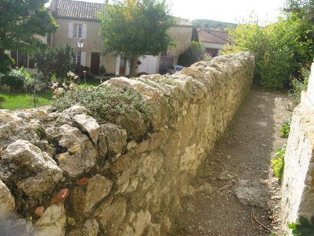 La collégiale de La Romieu (2) : la visite … IMG_6183