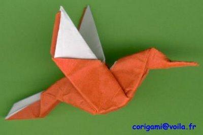 Un colibri sur le Médoc