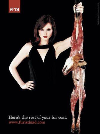 sophie-ellis-bextor-peta.jpg