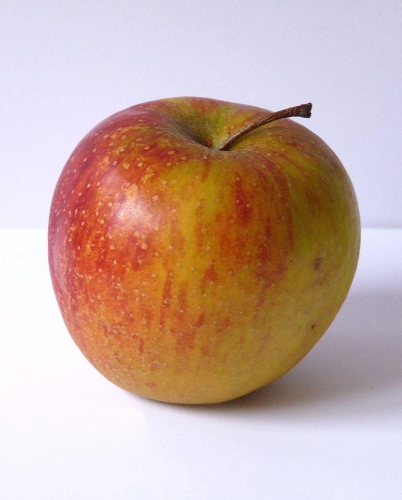 compote-deux-coups-cuillere-pomme-L-1.jpeg