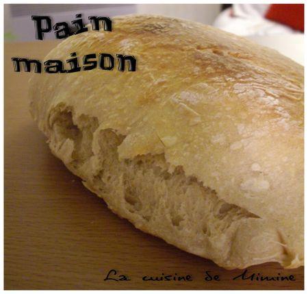 Pain maison facile (sans MAP) IMGP3327