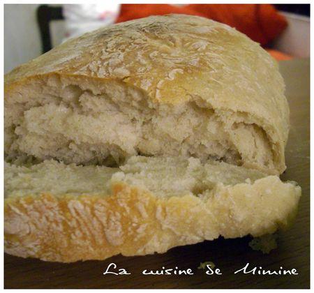 Pain maison facile (sans MAP) IMGP3337
