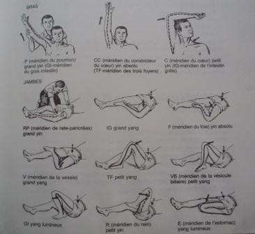 Du shiatsu concerné... une formation