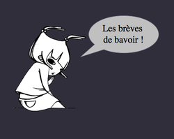 Les_brves_de_bavoir_zolimme
