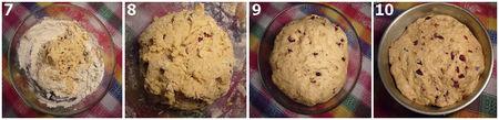 Cranberries pecan nuts loaf montage2