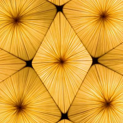 Aqua Creations © Ayala Serfati, jan 2009 Aqua Creations © Ayala Serfati