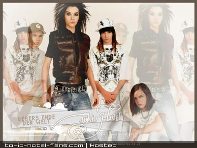 Photo 7115 Photo 7115