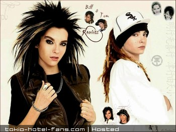 Photo 7113 Photo 7113