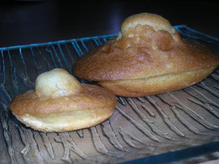 Madeleines et Mini Madeleines au Citron DSCN1253