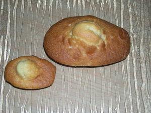 Madeleines et Mini Madeleines au Citron DSCN1254