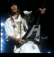 Photo 7132 Photo 7132