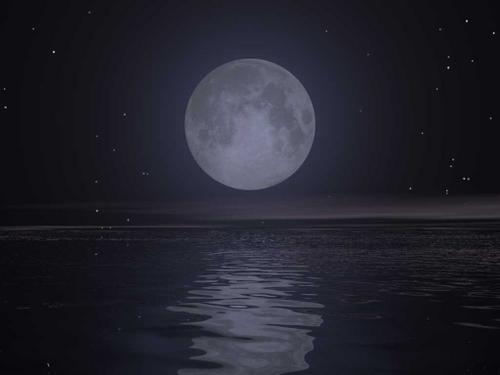 Tombée de la nuit au son des chants des orques... Nuit-mer-L-1