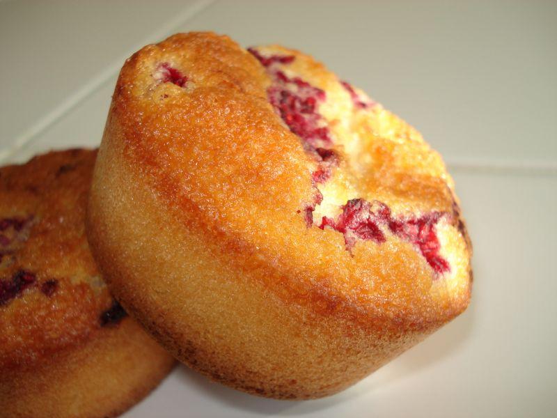 Financiers aux framboises. dsc000861.jpg