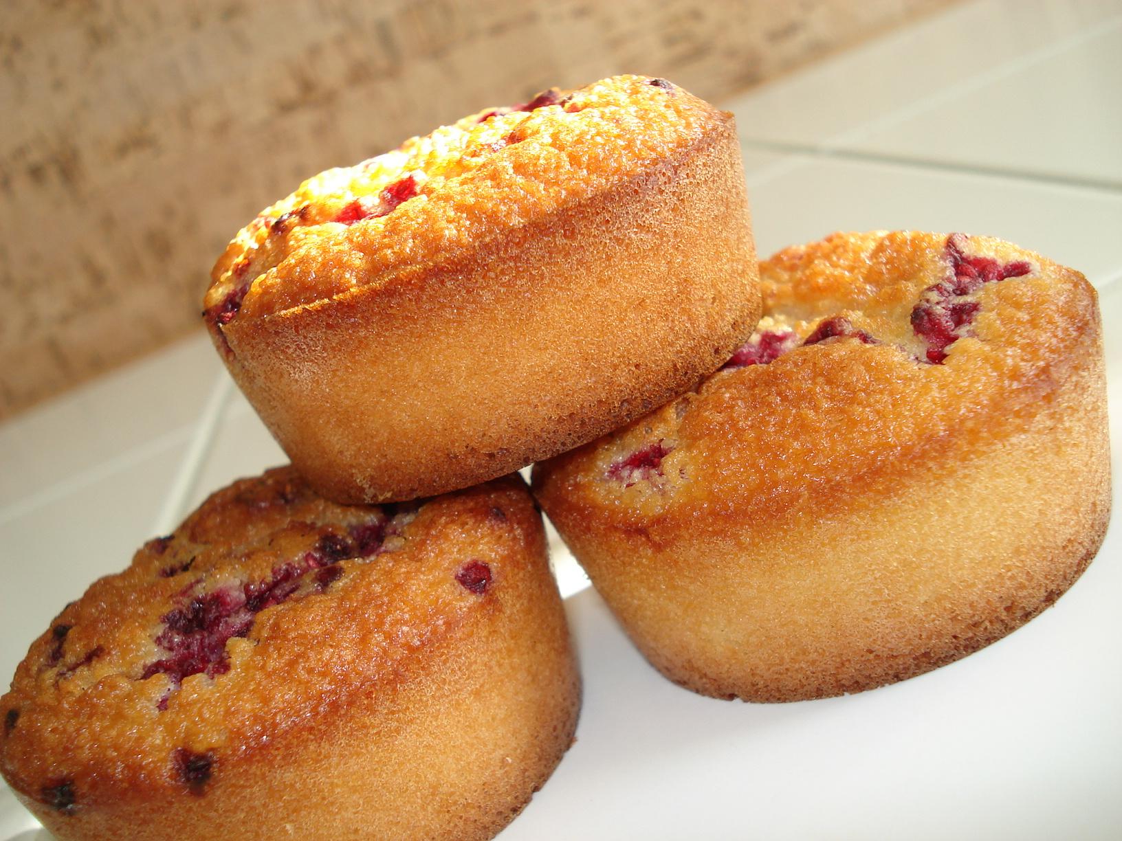 Financiers aux framboises. dsc000971.jpg