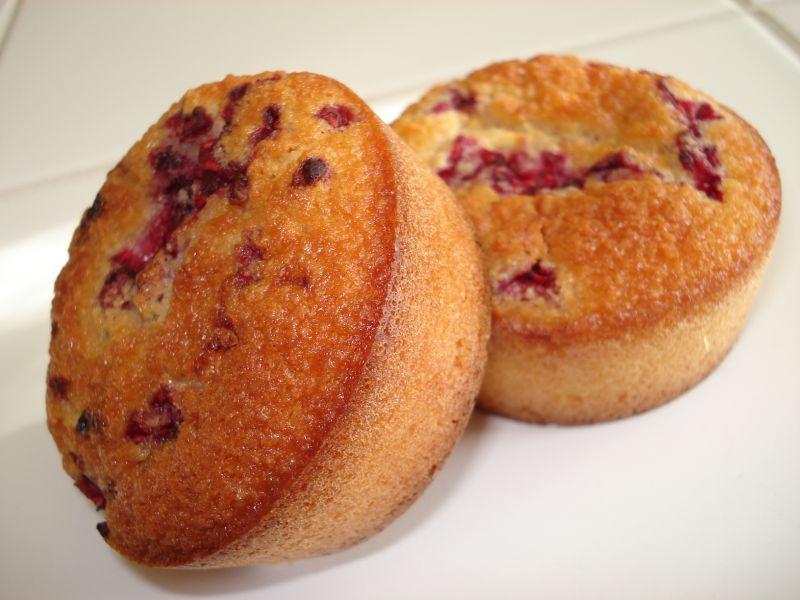 Financiers aux framboises. dsc00091.jpg
