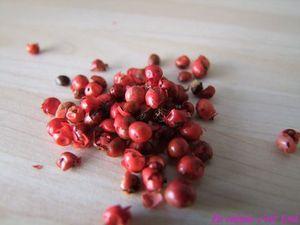 Soupe de carottes aux pommes et aux baies roses soupe_carottes_pommes_baies_roses_02