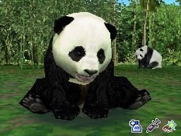 Le paradis des animaux sauvages bientôt dans ta poche