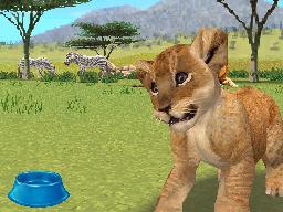 Le paradis des animaux sauvages bientôt dans ta poche