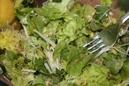 Salade_verte_super_vitamin_e