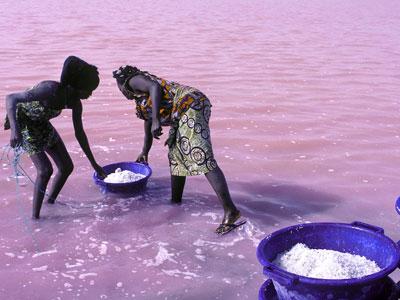Le Poulo de Normandie 3, la ronde des visites
