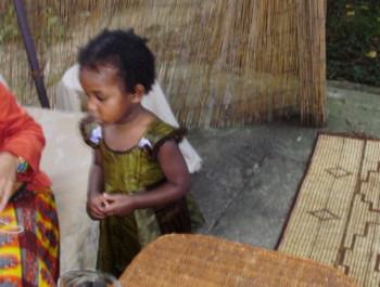 Le Poulo de Normandie 3, la ronde des visites