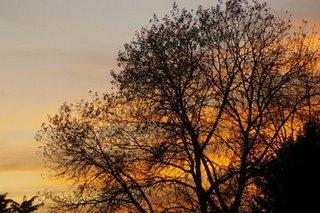 Second sujet, pour lancer les discussions : le coucher de soleil !