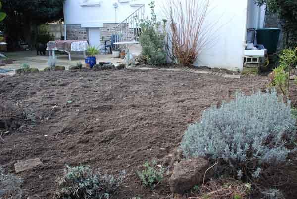La Grande Offensive Agricole (dans mon jardin) a commencé La Grande Offensive Agricole (dans mon jardin) a commencé