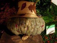 Je pense, donc je sue. De trouille, évidemment. (Jacques Sternberg)