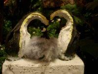 Je pense, donc je sue. De trouille, évidemment. (Jacques Sternberg)