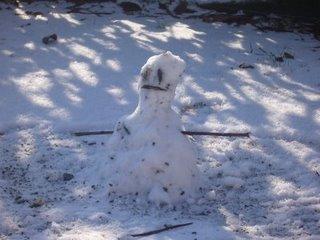 Muffins au parmesan et aux courgettes