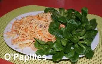 choublanc-celeri-carottes-salade03.jpg