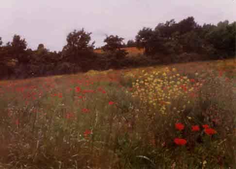 Le sténopé ou pinhole stenope-1.1233824928.jpg