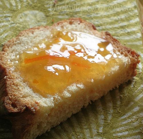 Marmelade d'oranges et mandarines à la cannelle Marmelade d'oranges et mandarines à la cannelle