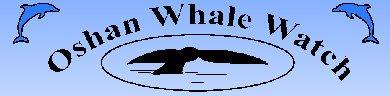 Oshan Whale Watch