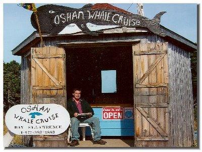 Oshan Whale Watch