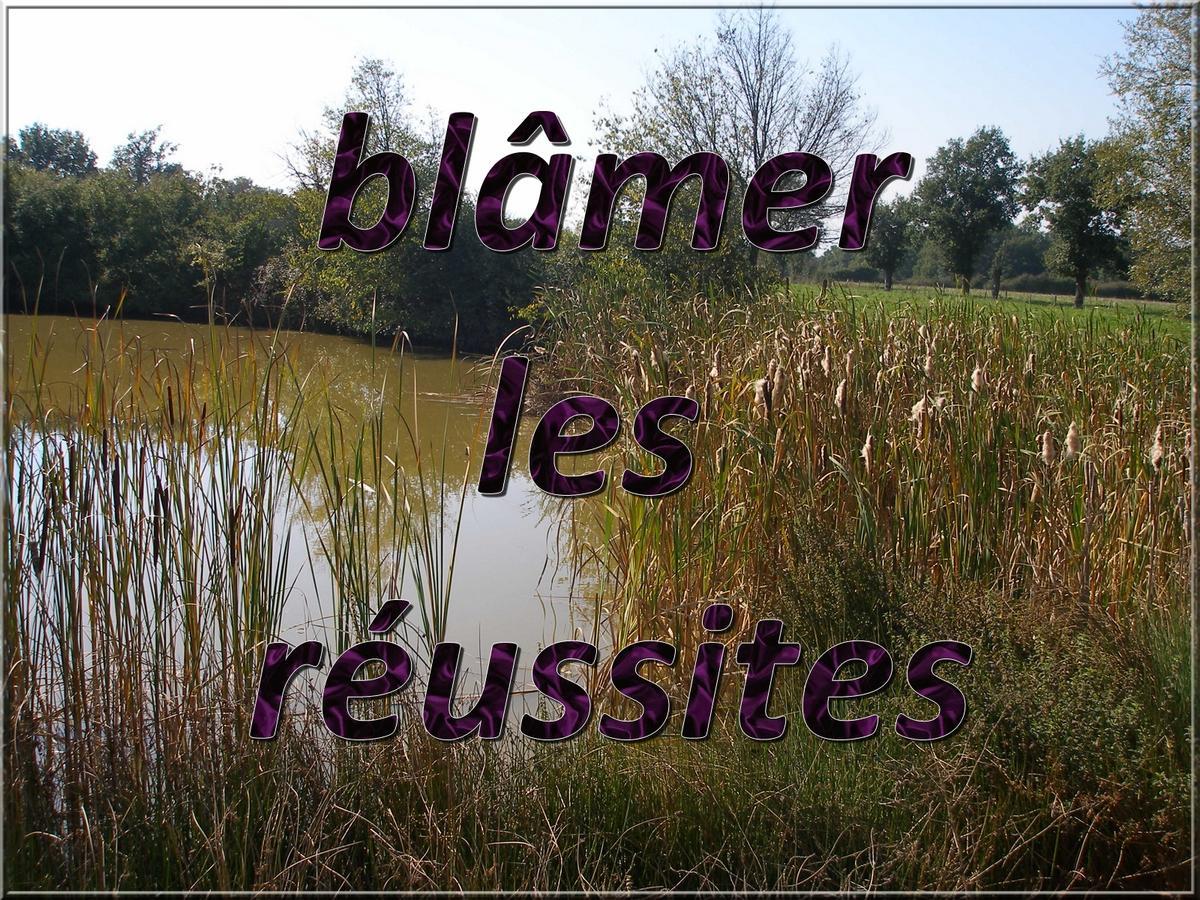 Inversion de polarité Inversion de polarité