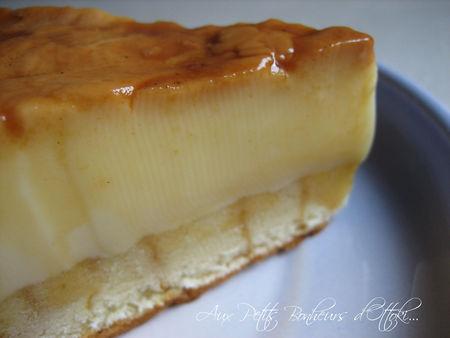 Biscoflan 9563