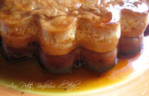 Biscoflan 9555
