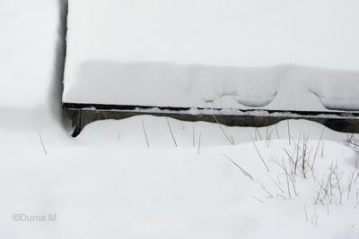 Photo du jour (2): 12 février 2009 La Chaux-de-Fonds: 12 février 2009